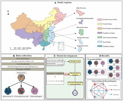 Study on the interaction between different pathogens of Hand, foot and mouth disease in five regions of China